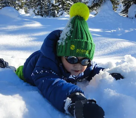 Haus Bergliebe דירה שלאדמינג